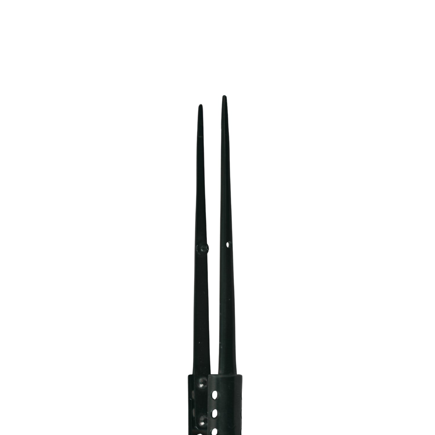 Tissue Forceps TC
