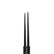 Tissue Forceps TC