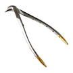 Crown Spreader